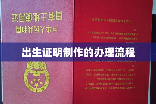 阳信出生证明制作的办理流程