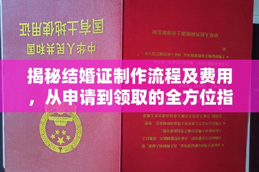 阳信揭秘结婚证制作流程及费用，从申请到领取的全方位指南