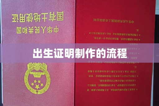 阳信出生证明制作的流程