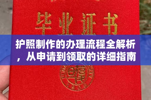 阳信护照制作的办理流程全解析，从申请到领取的详细指南