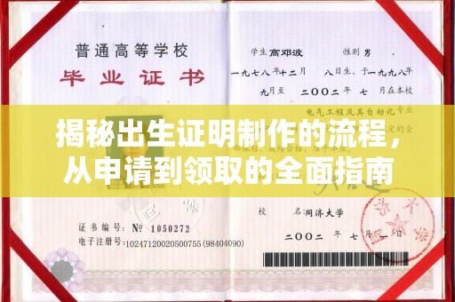 阳信揭秘出生证明制作的流程，从申请到领取的全面指南