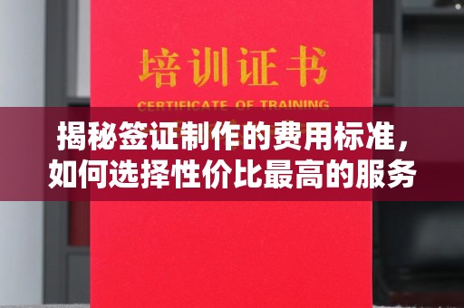 阳信揭秘签证制作的费用标准，如何选择性价比最高的服务？