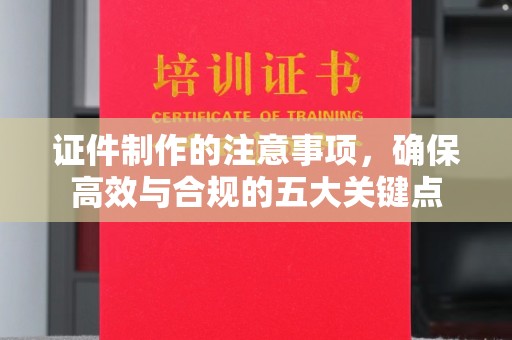 阳信证件制作的注意事项，确保高效与合规的五大关键点